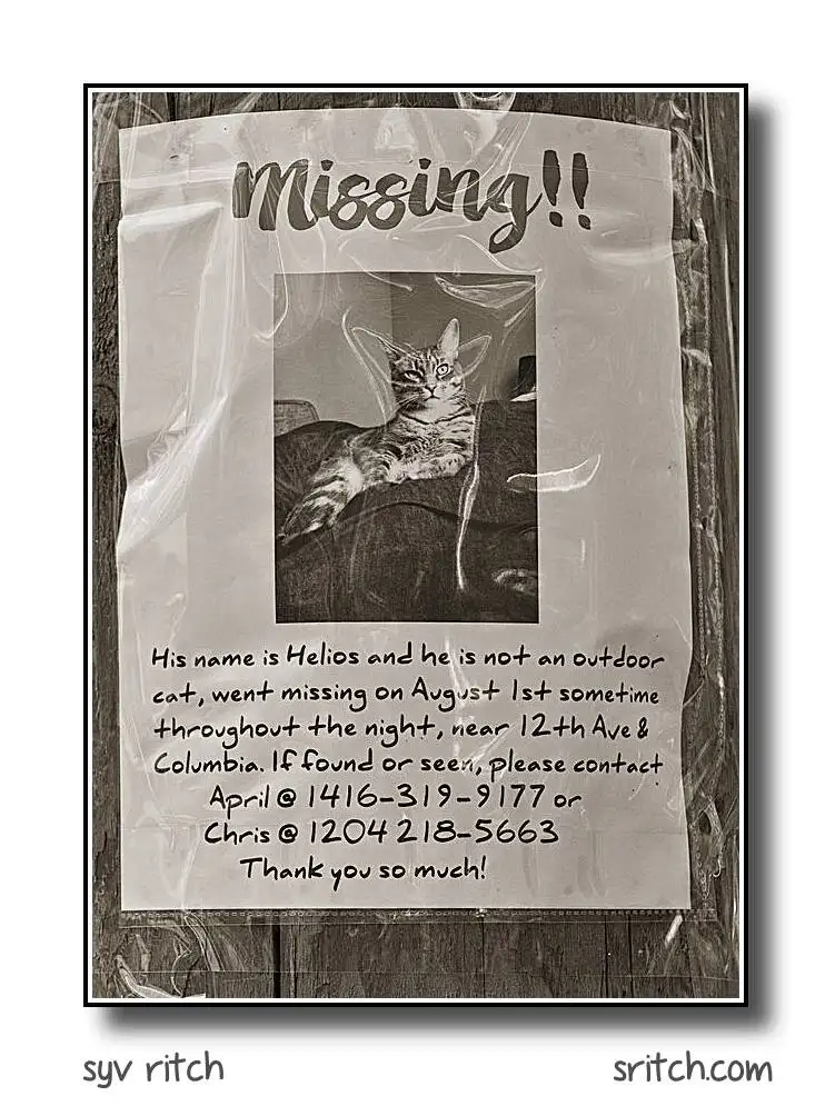 missing cat sign